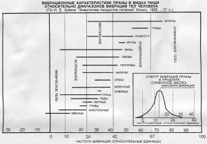 вибрационные и энергетические характеристики пищи вибрационные и энергетические характеристики пищи