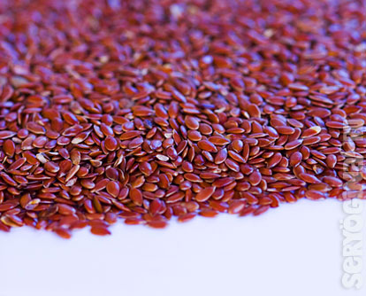 brown-flaxseed семя коричневого льна