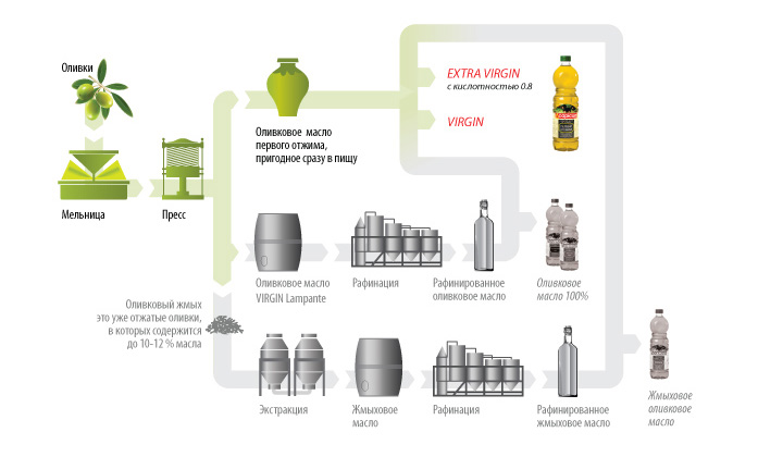 схема получения оливкового масла extra virgin схема получения оливкового масла extra virgin