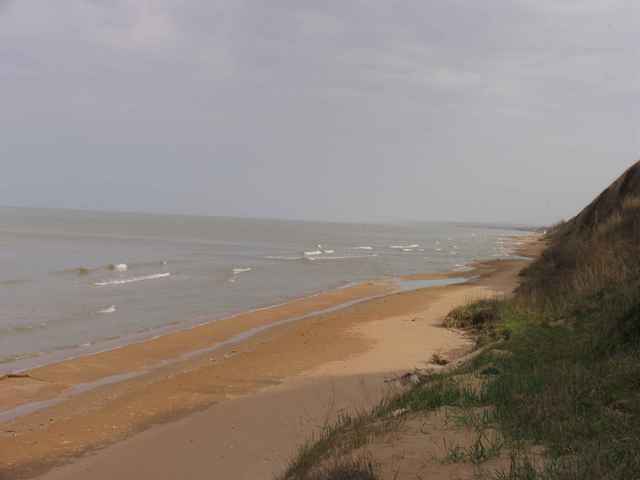 Тамань. Азовское море. Пос. Кучугуры семейный лагерь