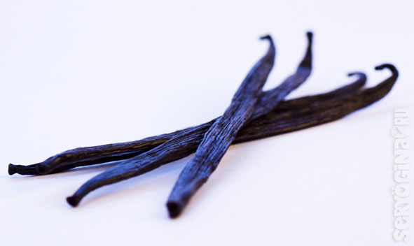 Таитянская ваниль